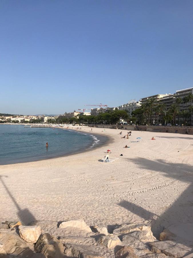 Tres Beau T2 Dans Parc Montfleury ,Proche Centre ,Au Calme 44 Bd Montfleury Apartment Cannes Ngoại thất bức ảnh