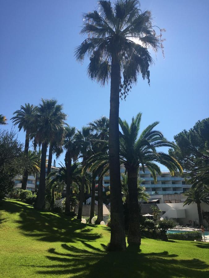Tres Beau T2 Dans Parc Montfleury ,Proche Centre ,Au Calme 44 Bd Montfleury Apartment Cannes Ngoại thất bức ảnh