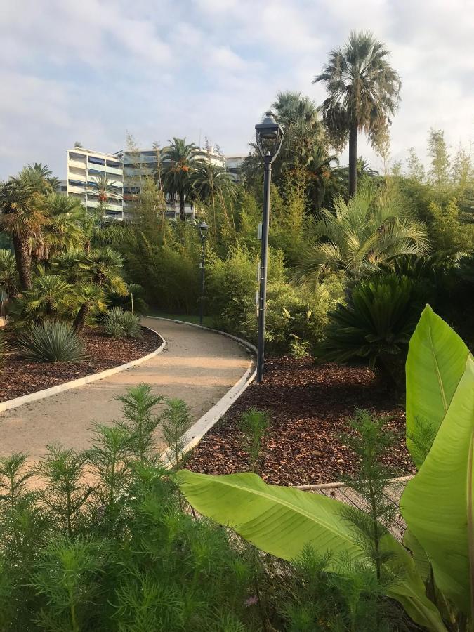 Tres Beau T2 Dans Parc Montfleury ,Proche Centre ,Au Calme 44 Bd Montfleury Apartment Cannes Ngoại thất bức ảnh